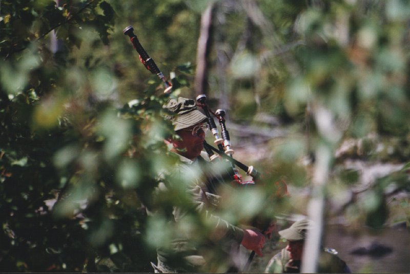 Playing behind trees